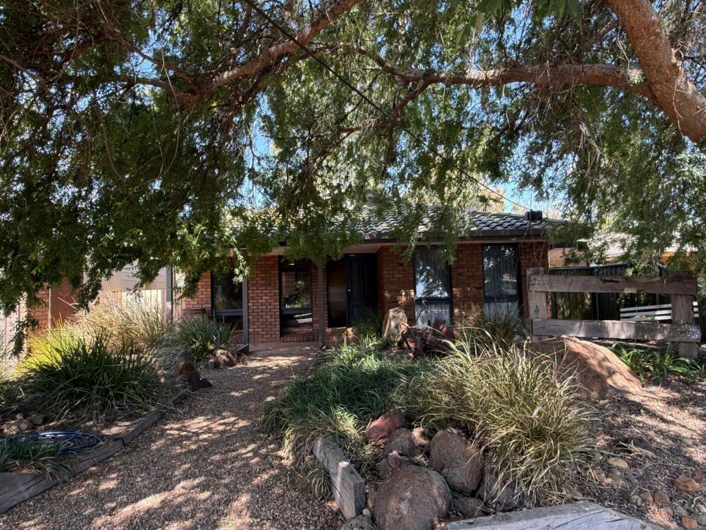 9 Elouera Dr, Irymple, VIC 3498