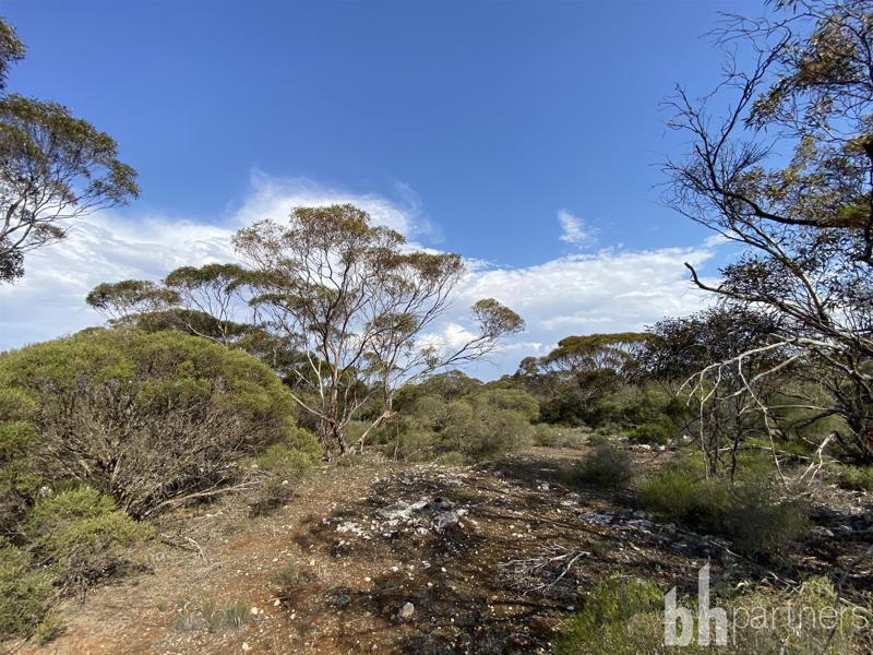 Lot 106 Jackson Rd, Ettrick, SA 5253