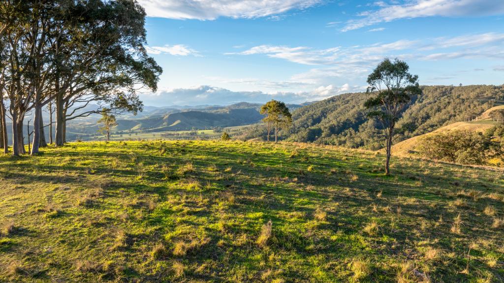 453 Torryburn Rd, Torryburn, NSW 2421