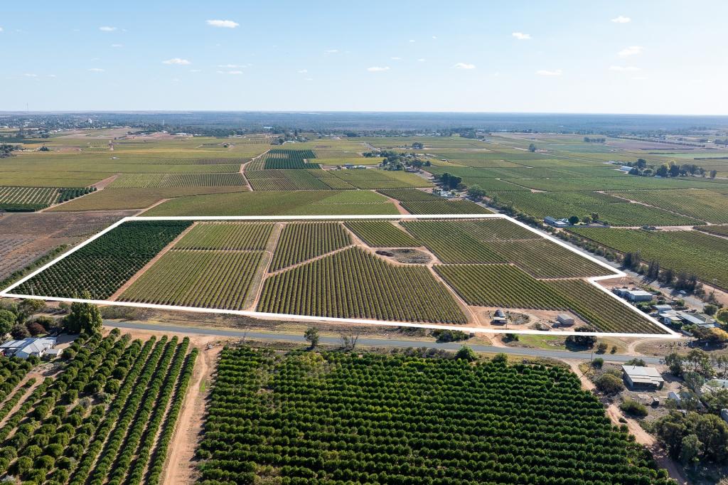 2 Balfour Ogilvy Ave, Loxton, SA 5333