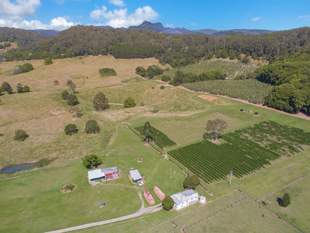 91 Dungay Creek Rd, Dungay, NSW 2484