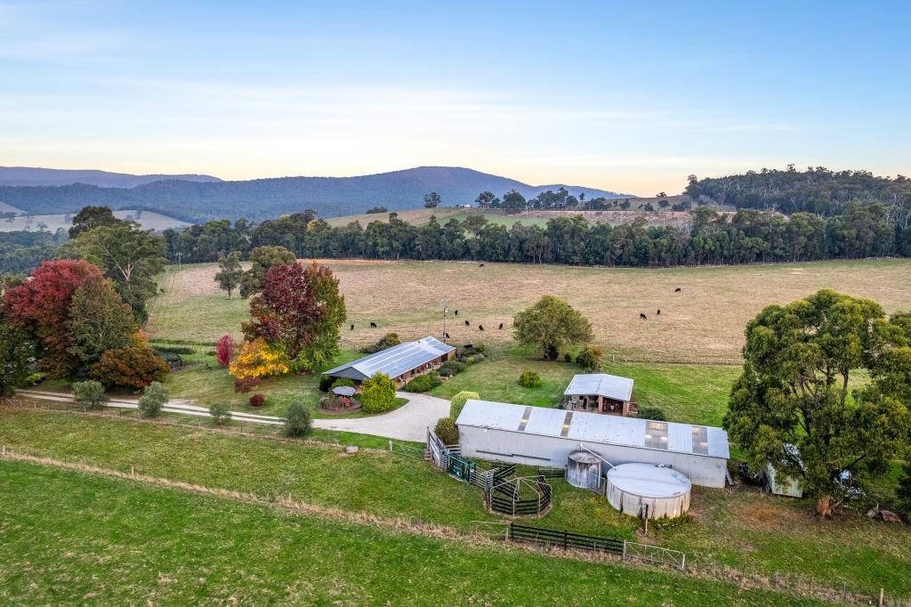 711 Captains Creek Rd, Glenburn, VIC 3717