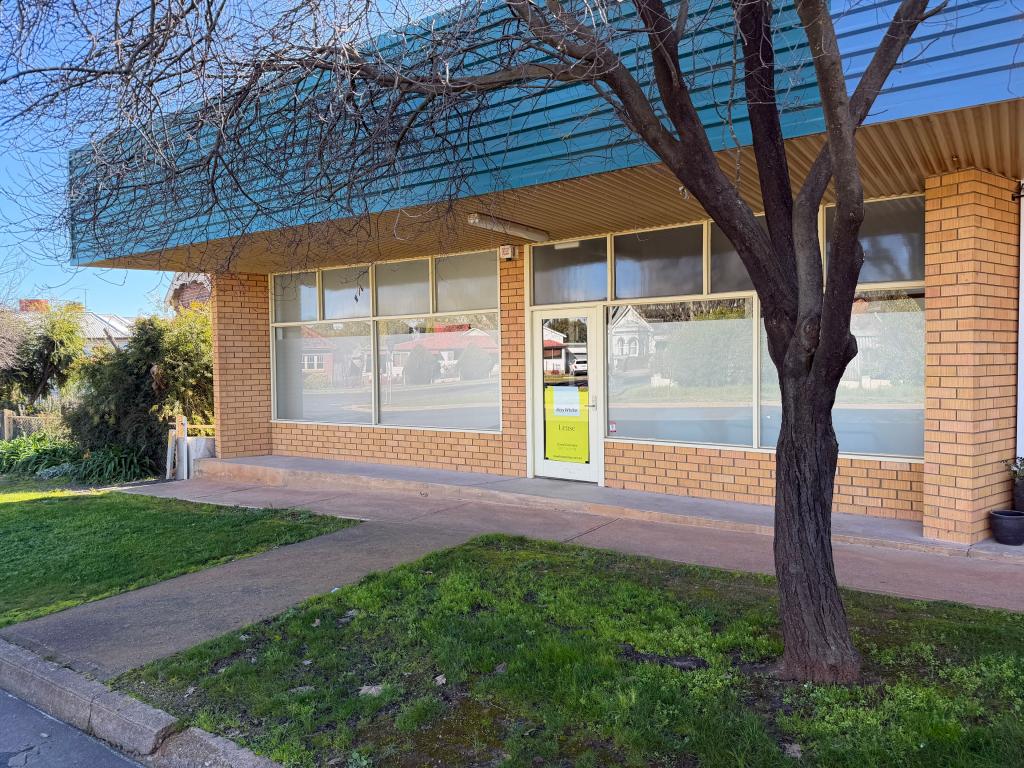 A/3 JUNCTION ST, YOUNG, NSW 2594
