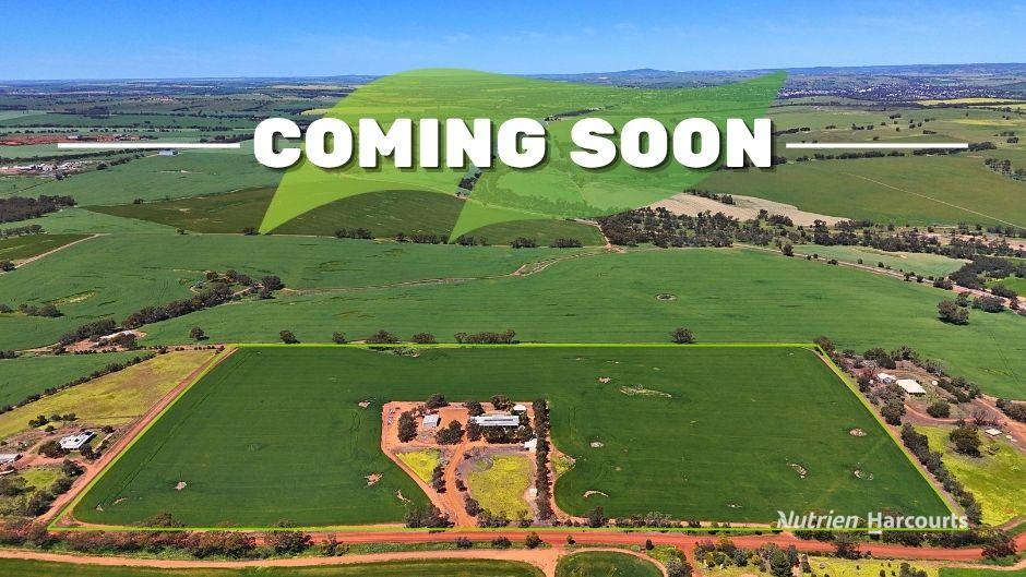 267 Beering Rd, Irishtown, WA 6401