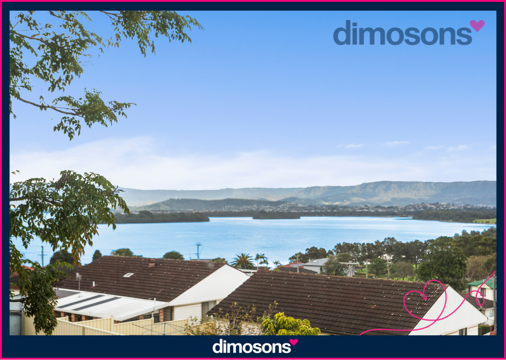 77 Hassan St, Lake Heights, NSW 2502