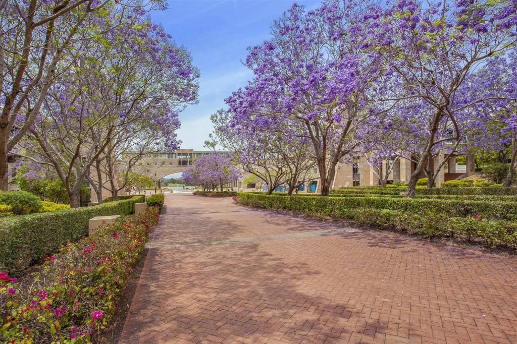 2108a/3 Main St, Varsity Lakes, QLD 4227
