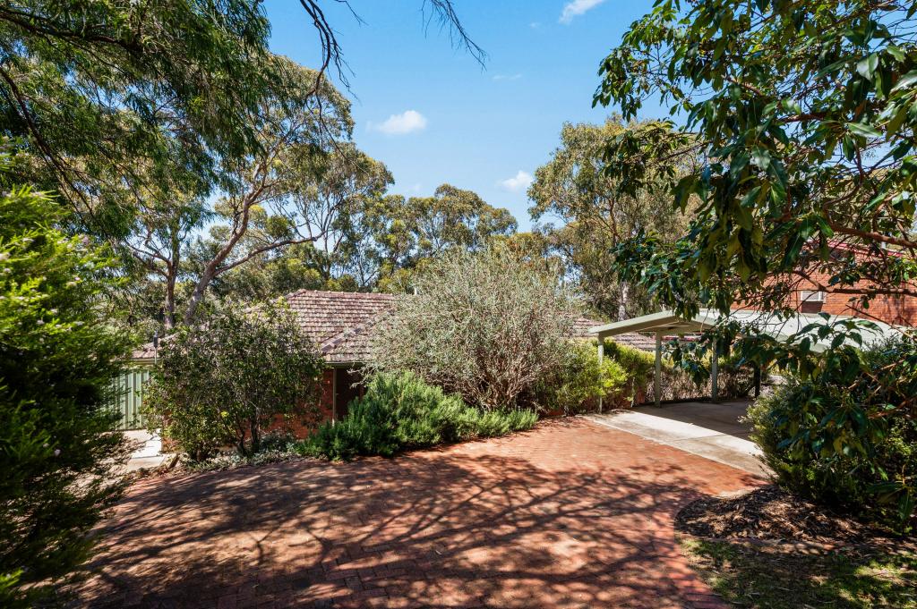 26 Orleana St, Flagstaff Hill, SA 5159