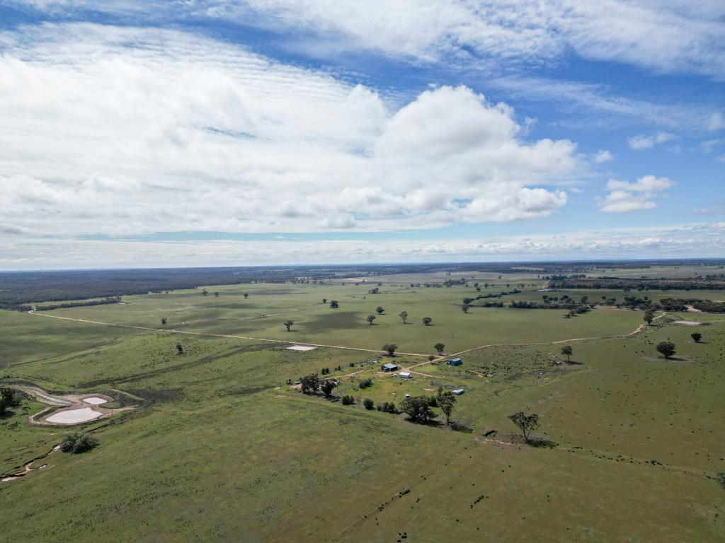 ' Dalmallee' 735 Charcoal Tank Rd, West Wyalong, NSW 2671