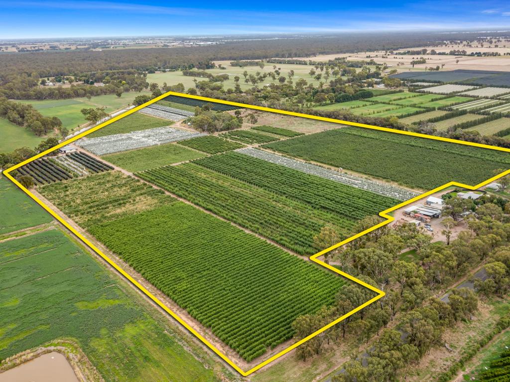 5160 Barmah-Shepparton Rd, Bunbartha, VIC 3634