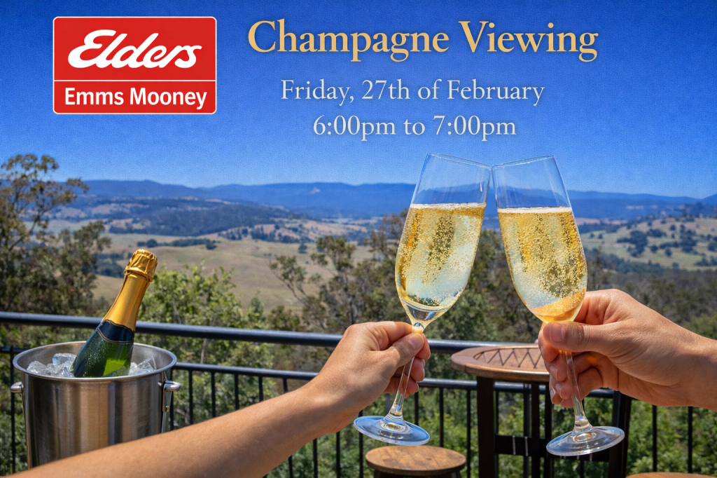 84 Marsden Swamp Rd, Ganbenang, NSW 2790