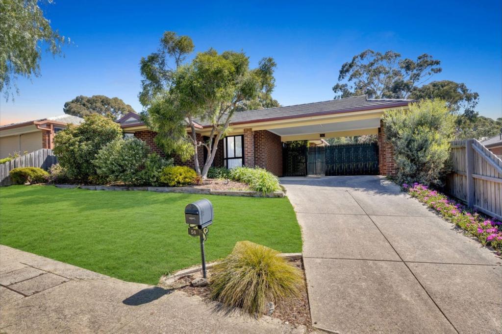 56 Olive Gr, Sunbury, VIC 3429