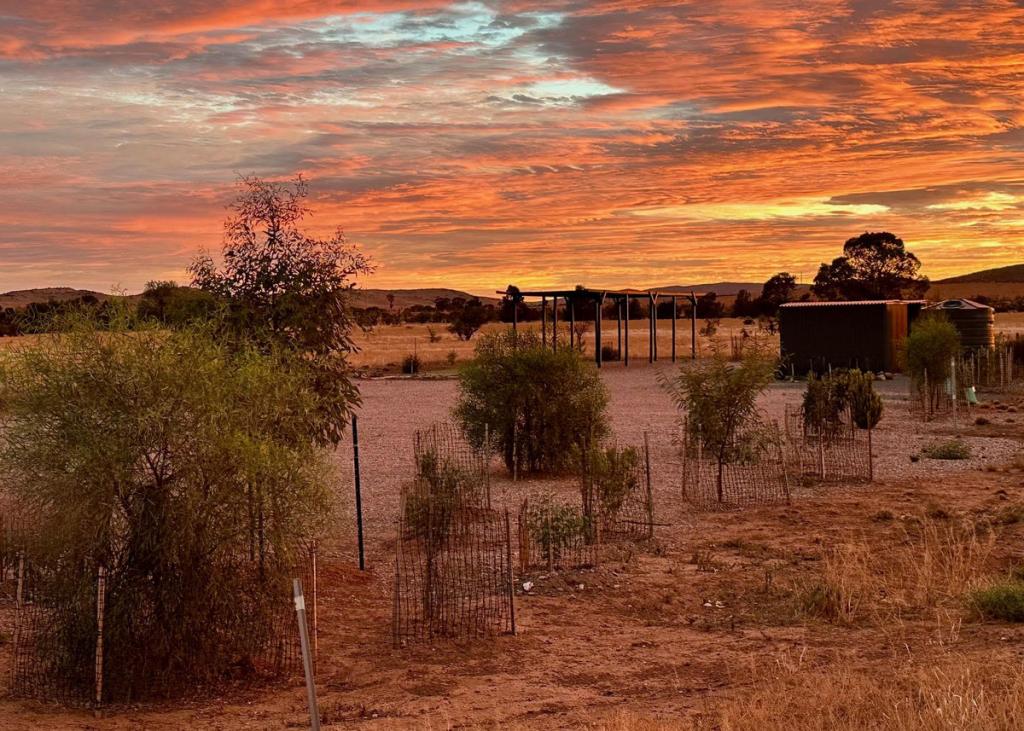 4 Rademaker Rd, Carrieton, SA 5432