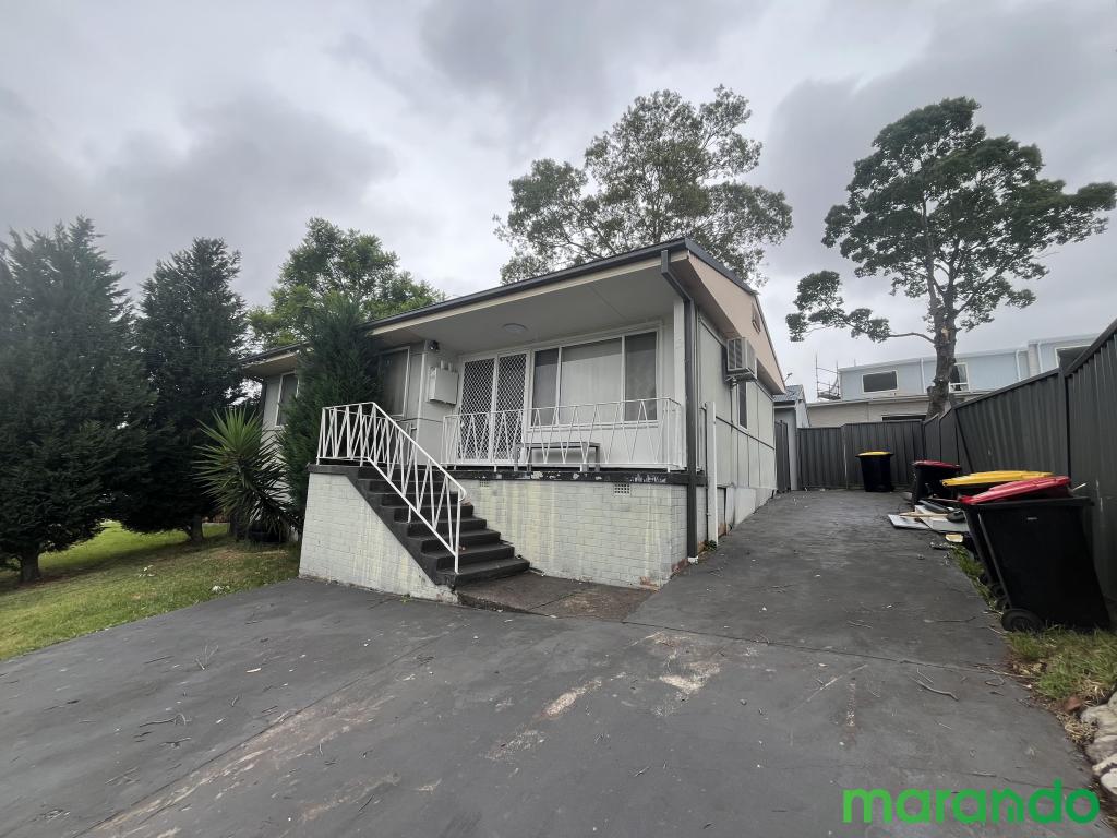 12 DEVON PL, BUSBY, NSW 2168