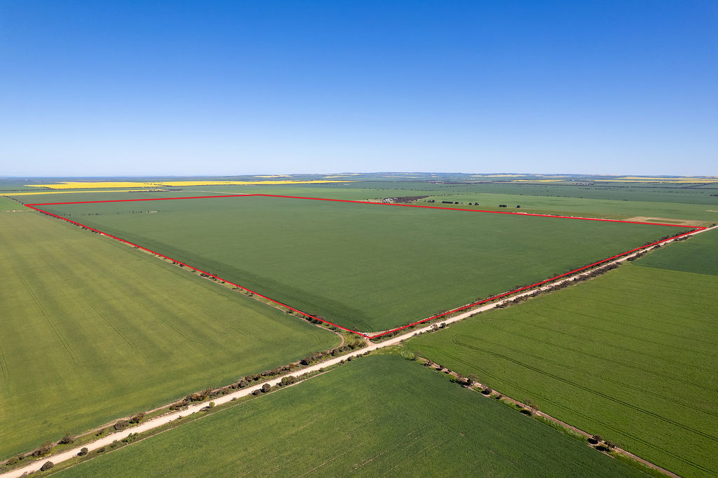 Lot 22 Pfitzner Rd, Butler, SA 5605