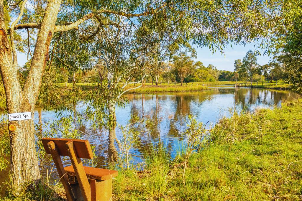 84 Kings Creek Rd, Krambach, NSW 2429