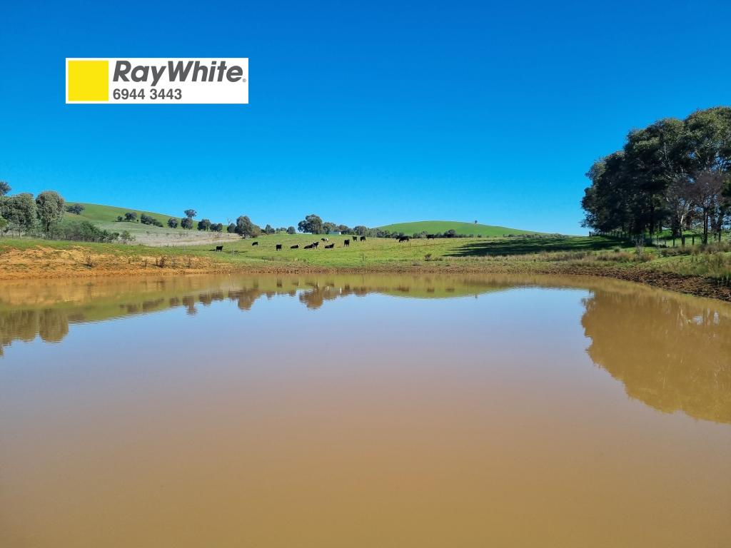 76 Sylvia'S Gap Rd, Gundagai, NSW 2722