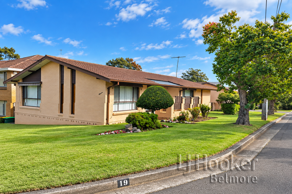 19 Raymond Ave, Roselands, NSW 2196