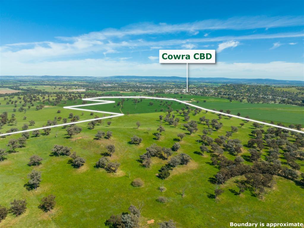 Lot 1 /Dp 873052 Darbys Falls Rd, Cowra, NSW 2794