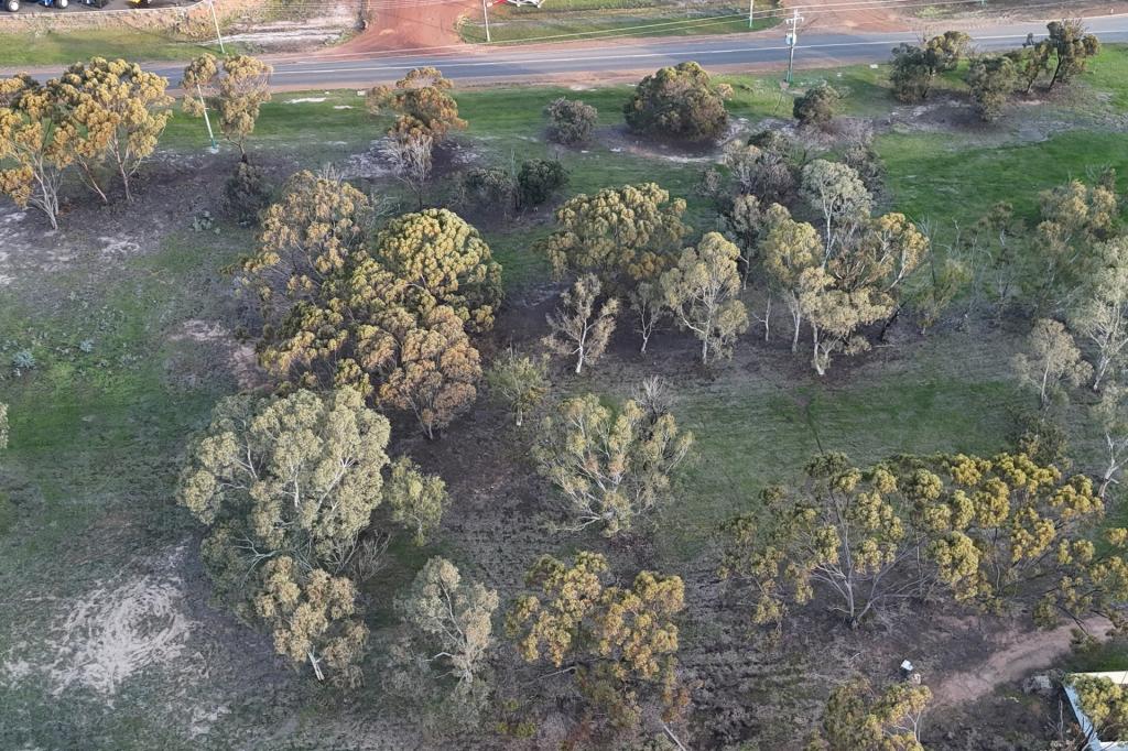 Lot 307 Katanning-Nyabing Rd, Katanning, WA 6317