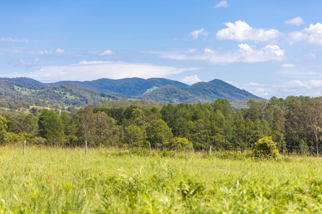 30 Wynters Rd, Burrell Creek, NSW 2429