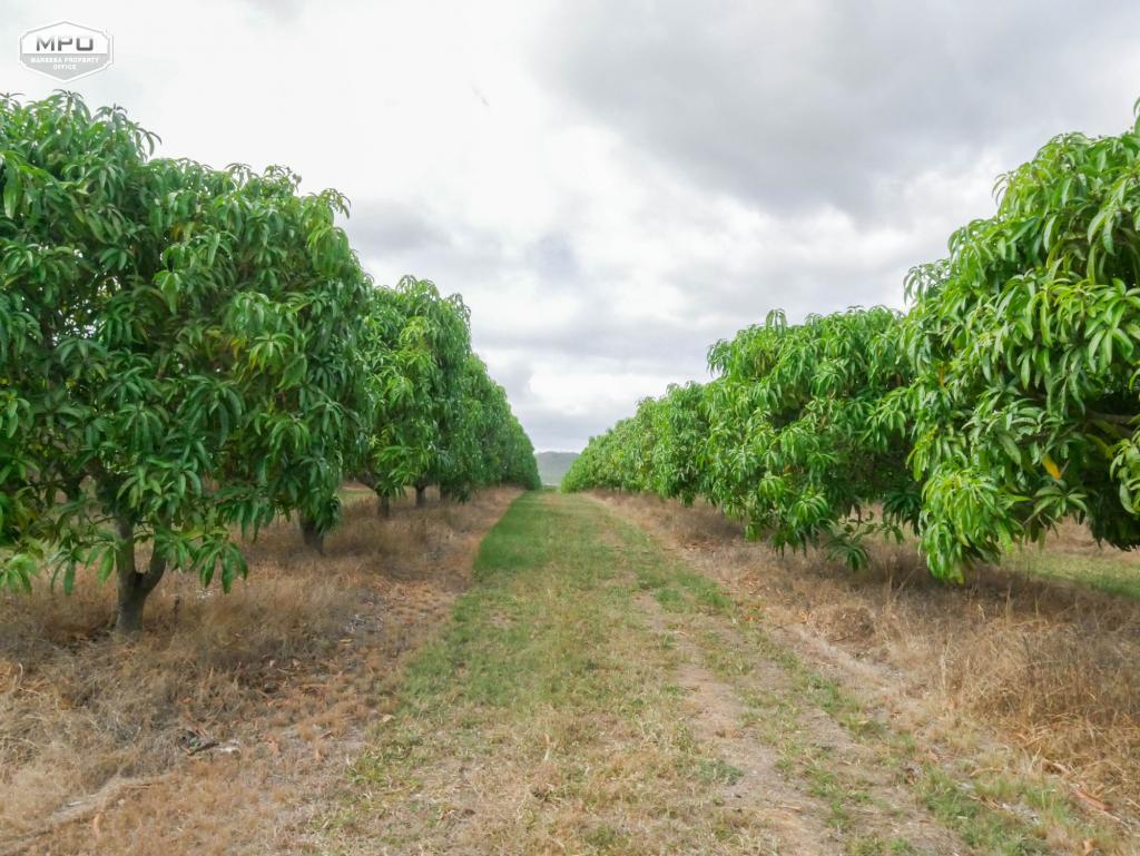 Contact Agent For Address, Dimbulah, QLD 4872