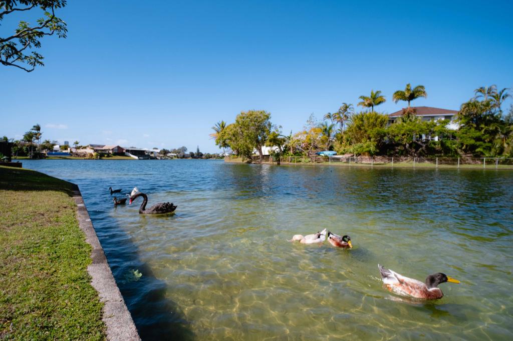 30 Peninsula Ct, Mermaid Waters, QLD 4218