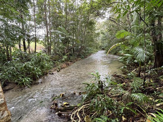 253-267 Boulders Rd, Babinda, QLD 4861
