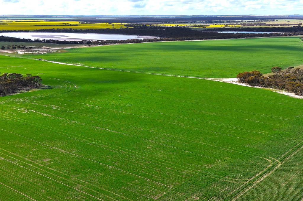 1994 Mallee Rd, West Fitzgerald, WA 6337