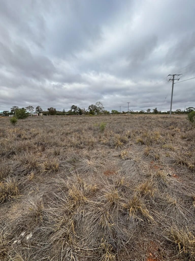 2 BOURKE ST, GIRILAMBONE, NSW 2831