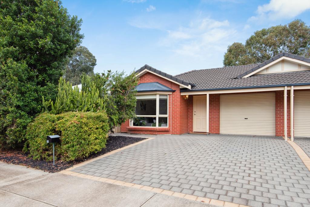 26 Scott Ave, Clovelly Park, SA 5042