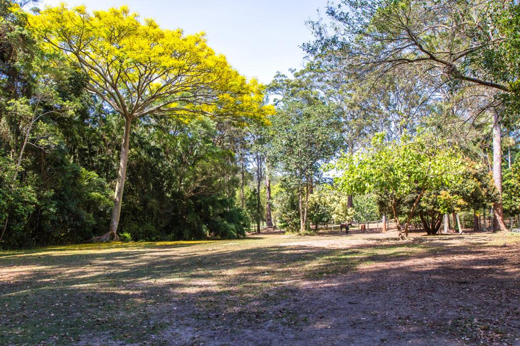 169 Winston Rd, Palmwoods, QLD 4555