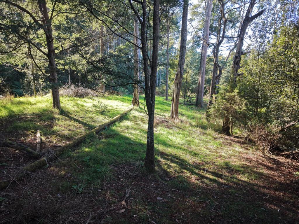 . Browns Lane, Penguin, TAS 7316