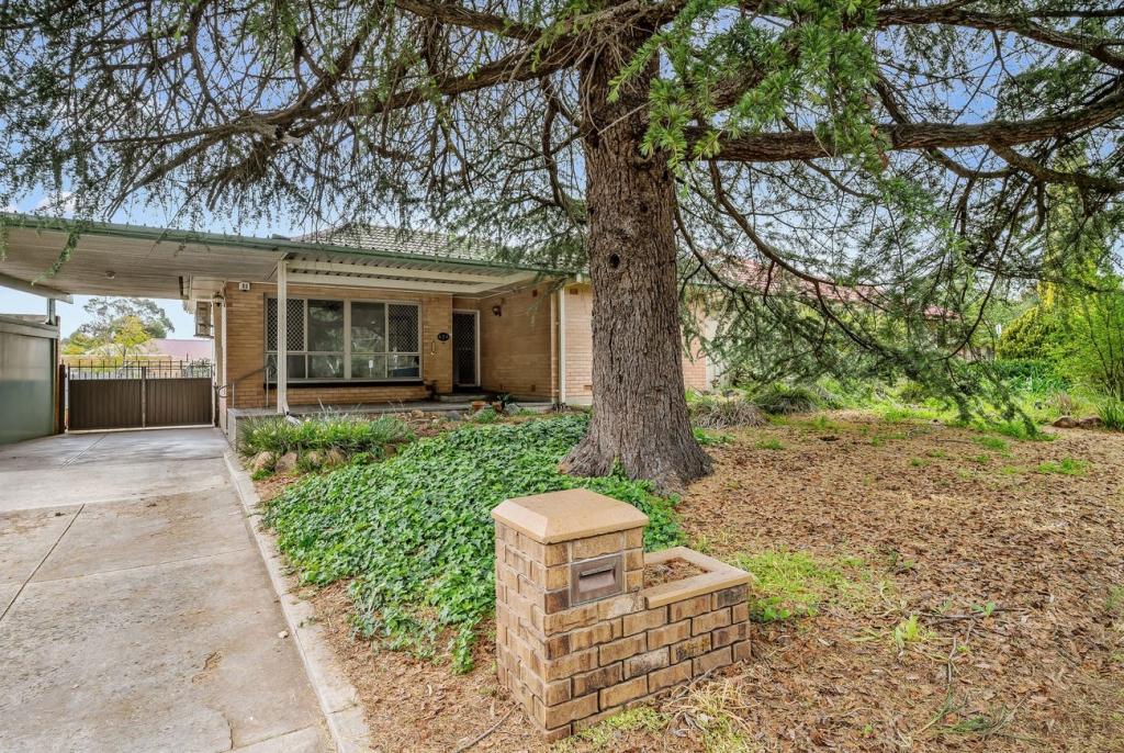 7 Thomas Ave, Paradise, SA 5075