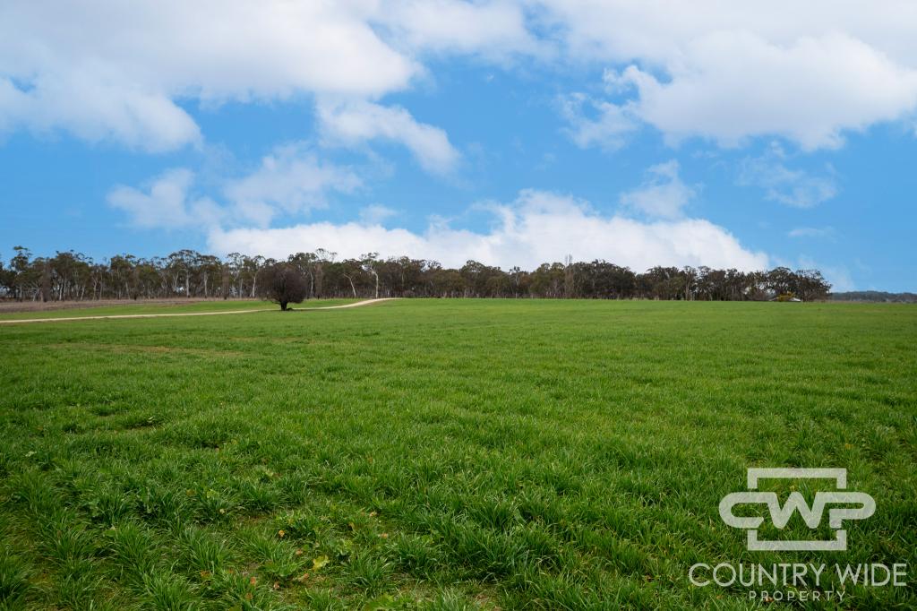 916 Emmaville Rd, Glen Innes, NSW 2370