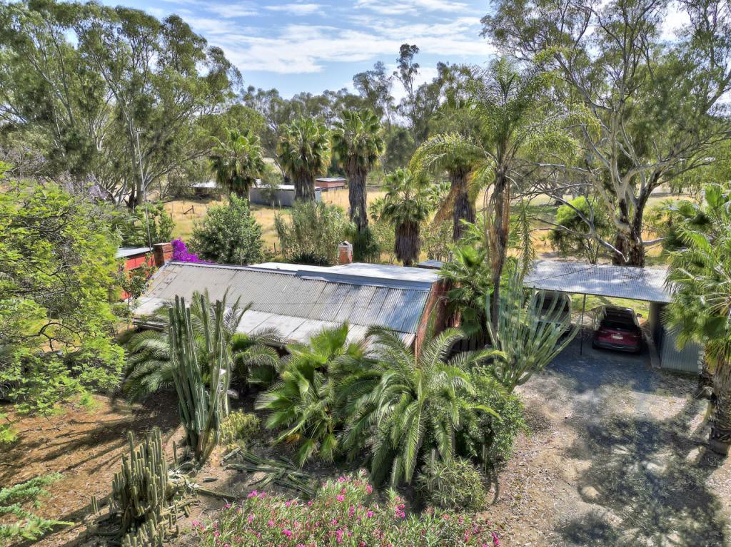 361 Hodgkins St, Deniliquin, NSW 2710