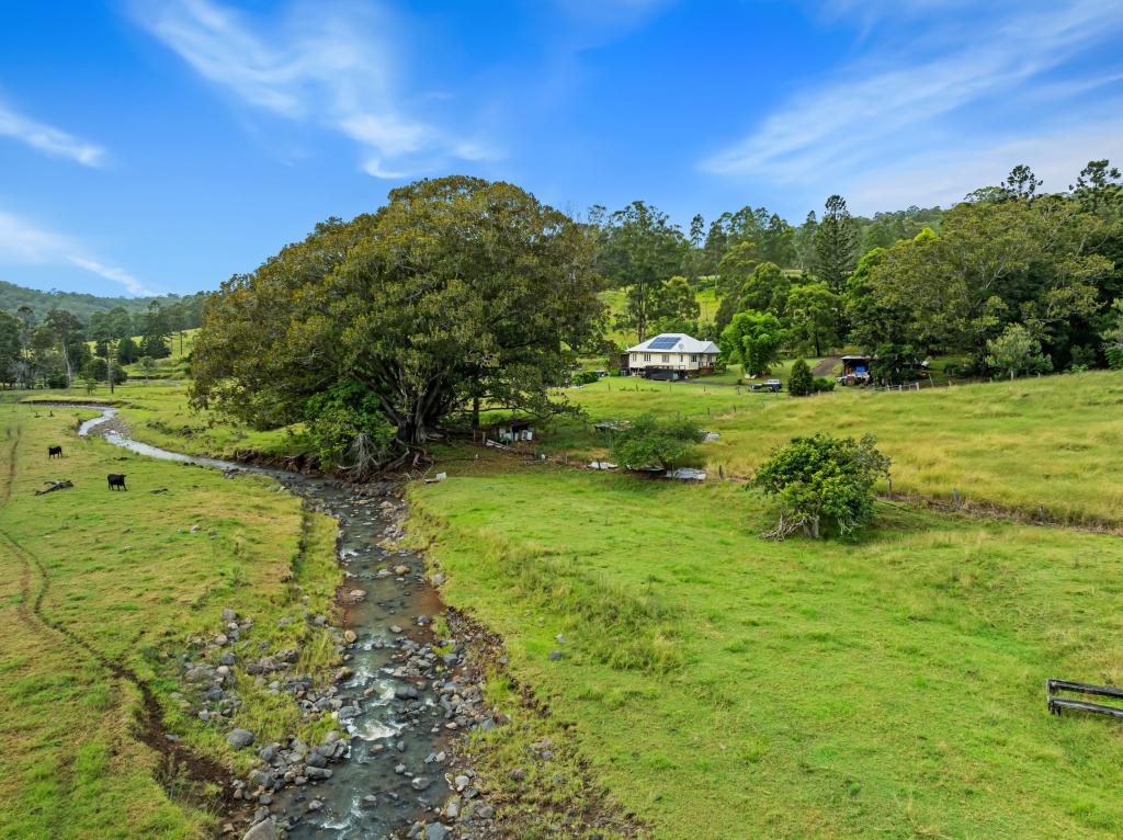 1152 Theresa Creek Rd, Theresa Creek, NSW 2469