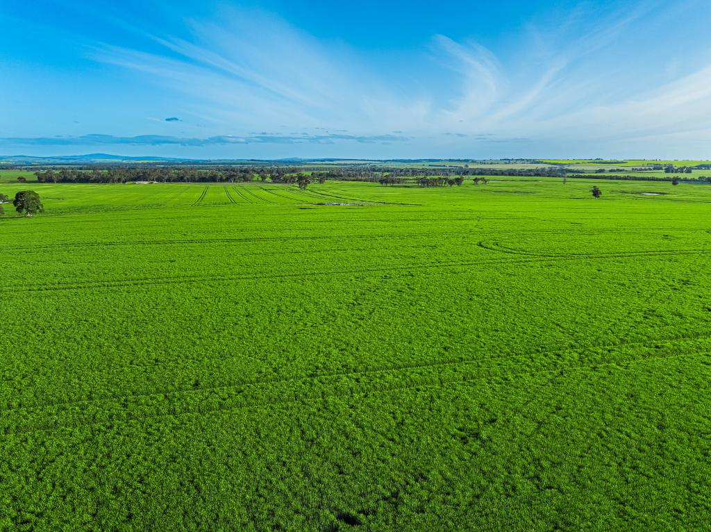 Contact Agent For Address, Kendenup, WA 6323