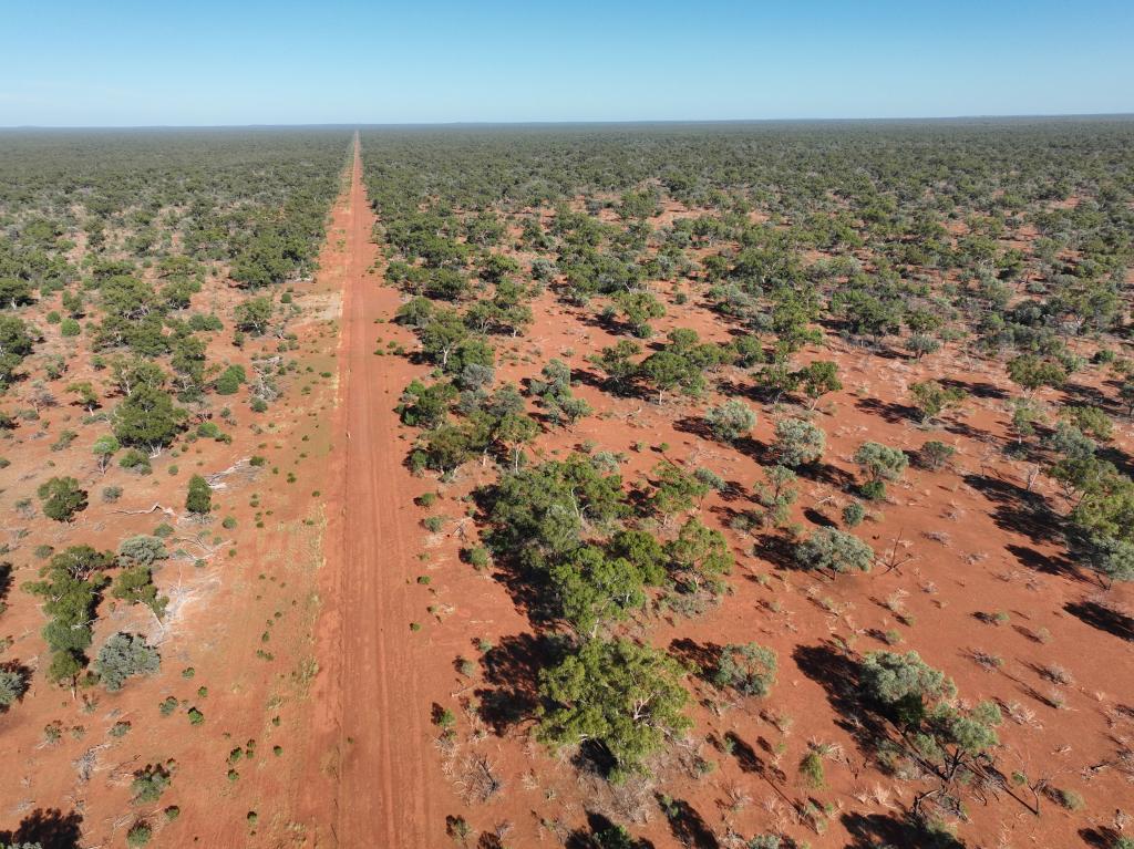 'CAMBUS' 10725 MITCHELL HWY, BYROCK, NSW 2831