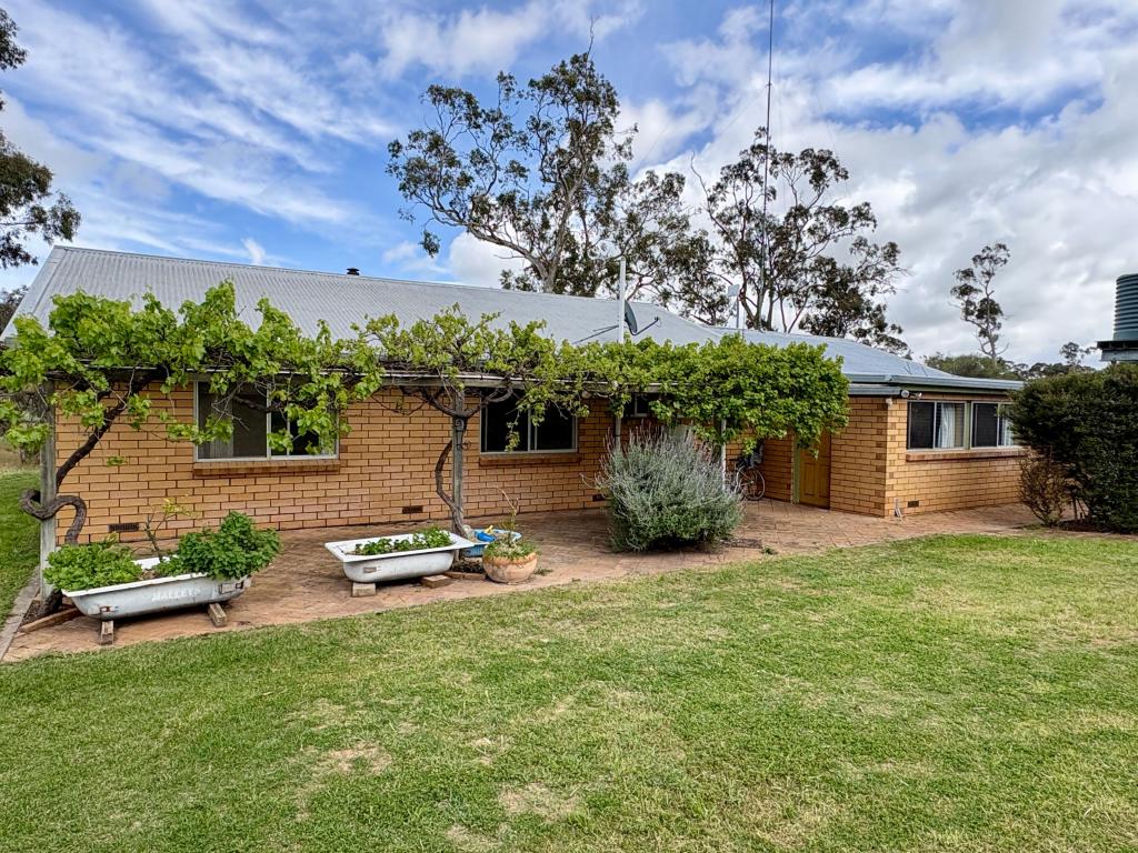 644 Golf Course Rd, Bordertown, SA 5268