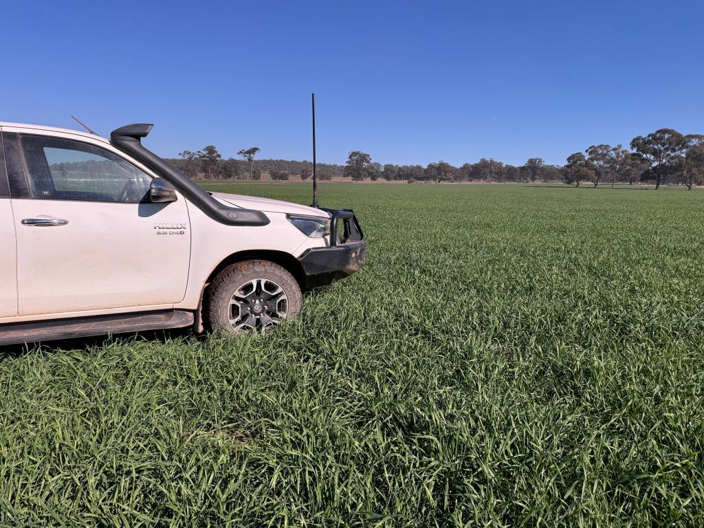 'Maryvale'/598 Lewes Rd, Weethalle, NSW 2669