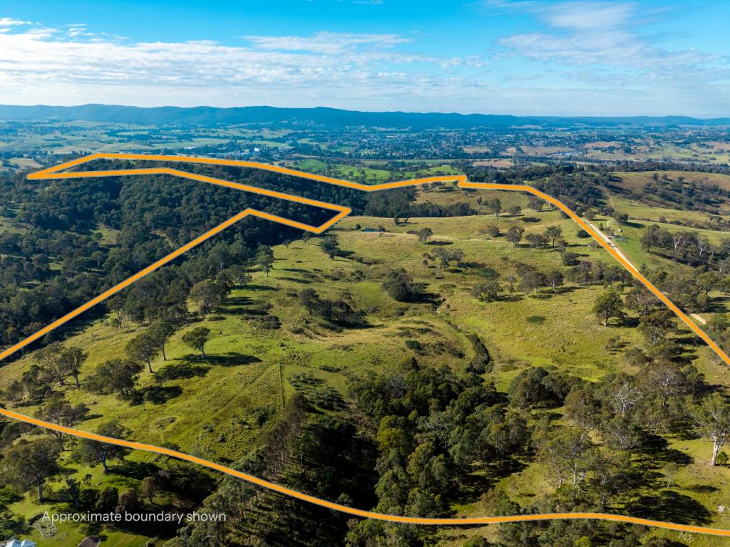 170 PEAK HILL RD, BUCKAJO, NSW 2550