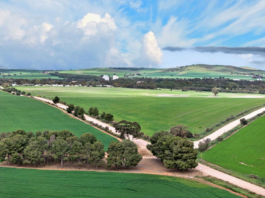 'MOLINO' BLACK RD, GLADSTONE, SA 5473