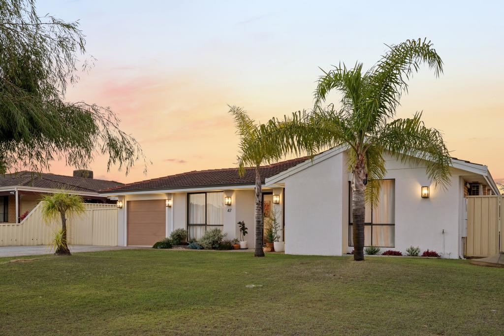 47 Wattle Dr, Morley, WA 6062