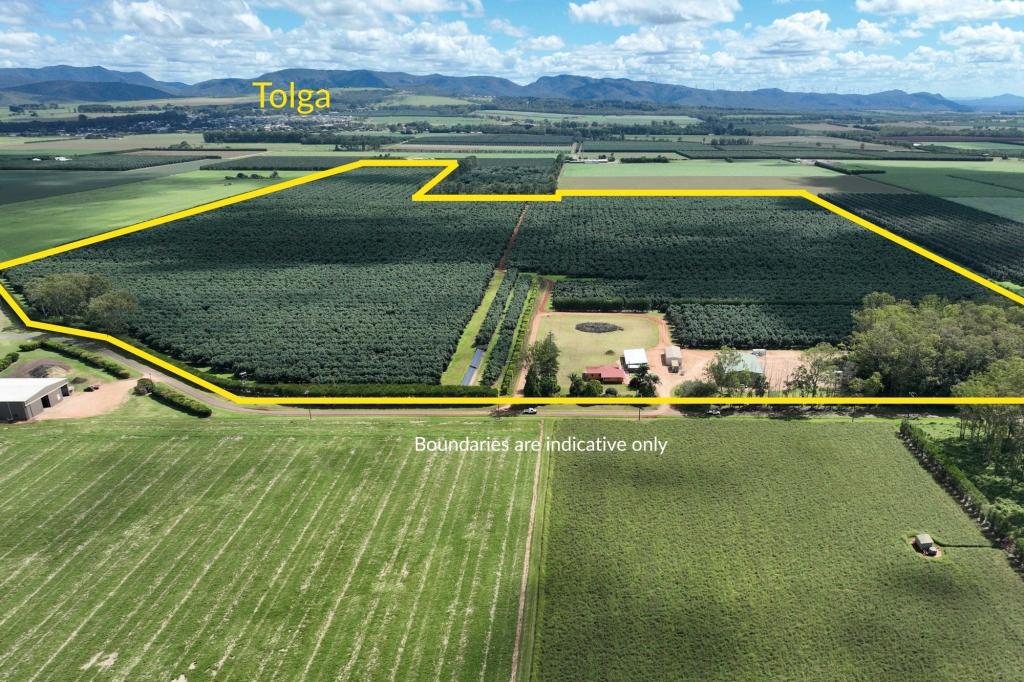 39 Yadjin Rd, Tolga, QLD 4882
