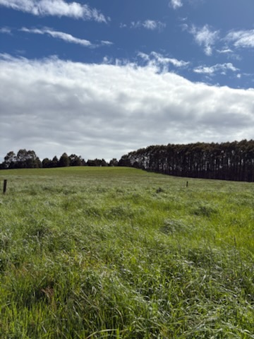 226 Hursts Rd, Lileah, TAS 7330