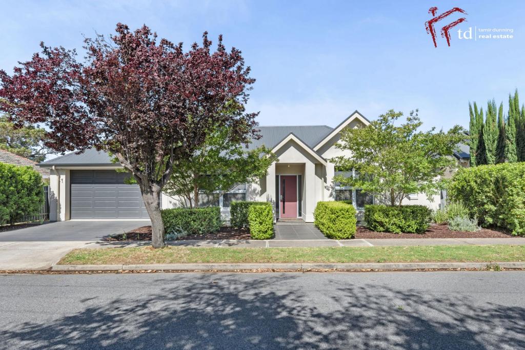 7 William St, Glengowrie, SA 5044