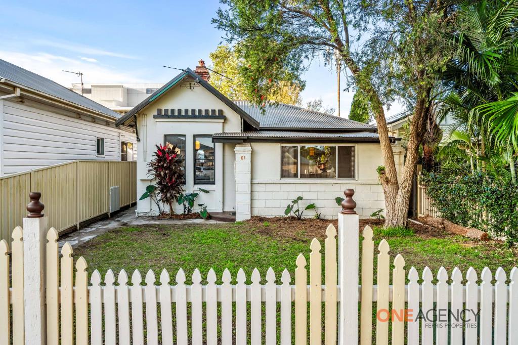 61 Waratah St, Mayfield, NSW 2304