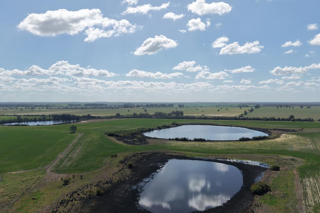 6430 DANDARAGAN MOORA RD, MOORA, WA 6510