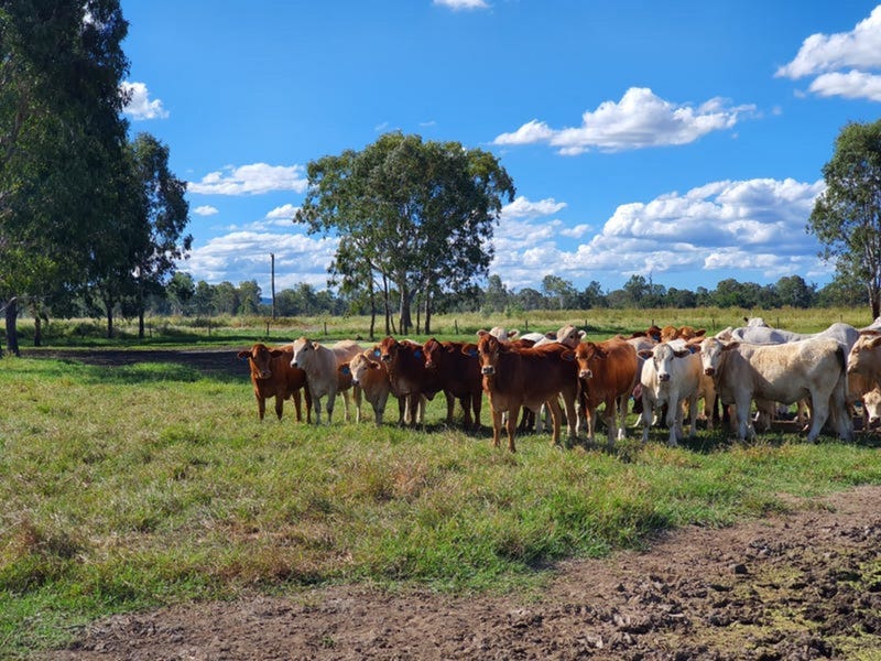 149 Airport Rd, Monto, QLD 4630
