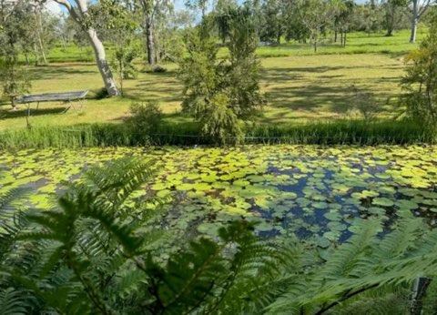 288f Old Coach Rd, Majors Creek, QLD 4816